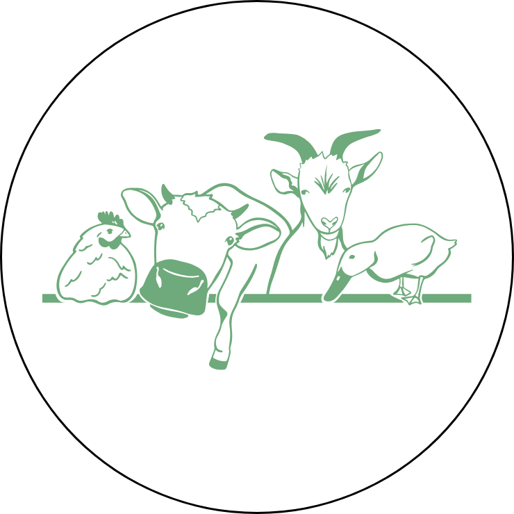 Design sans titre (79)